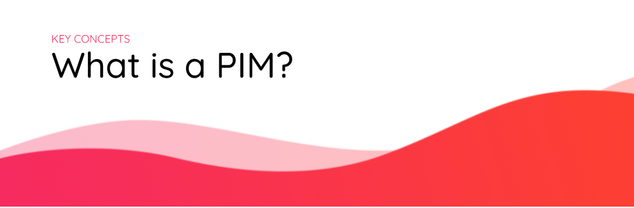 what-is-a-pim