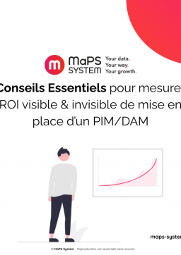 6-conseils-essentiels-pour-mesurer-le-roi-visible-invisible-de-mise-en-place-dun-pim_dam